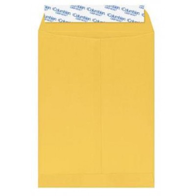 ΦΑΚΕΛΟΣ ΑΛΛΗΛΟΓΡΑΦΙΑΣ ΣΑΚΟΥΛΑ 31Χ41 ΜΠΕΖ ΑΥΤΟΚΟΛΛΗΤΟΣ(250 τεμ)