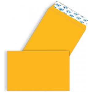 ΦΑΚΕΛΟΣ ΑΛΛΗΛΟΓΡΑΦΙΑΣ ΣΑΚΟΥΛΑ 16Χ23 ΜΠΕΖ ΑΥΤΟΚΟΛΛΗΤΟΣ(500 τεμ) Είδη γραφείου